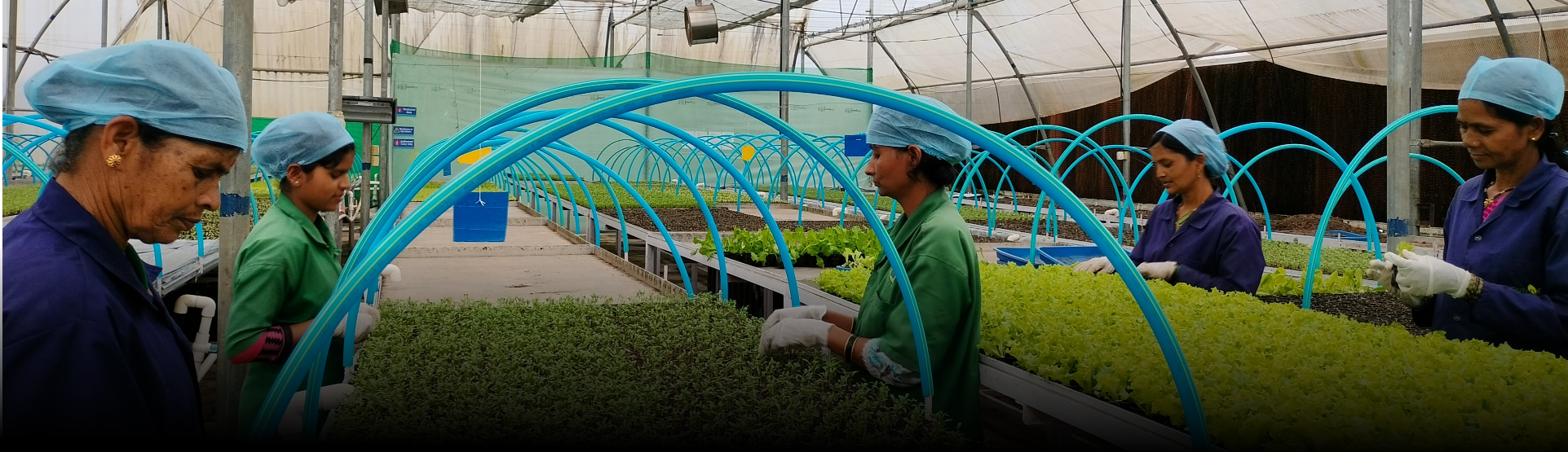 Operations background