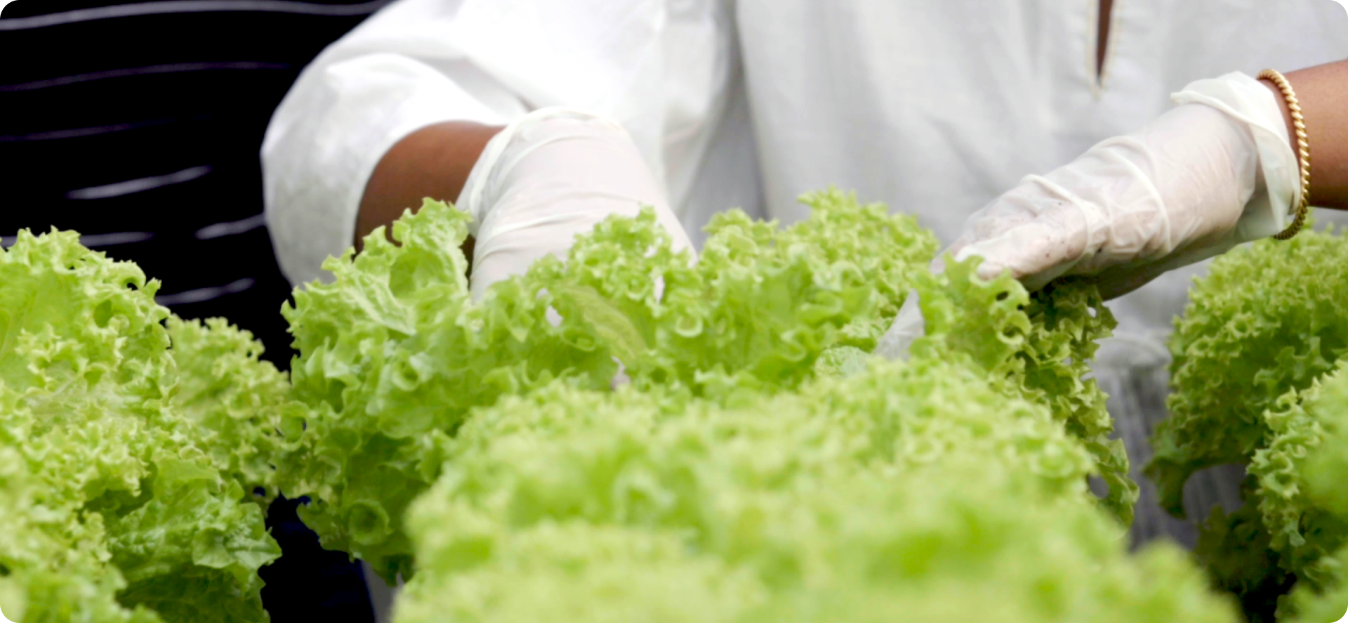 Governance and Integrity Documentation